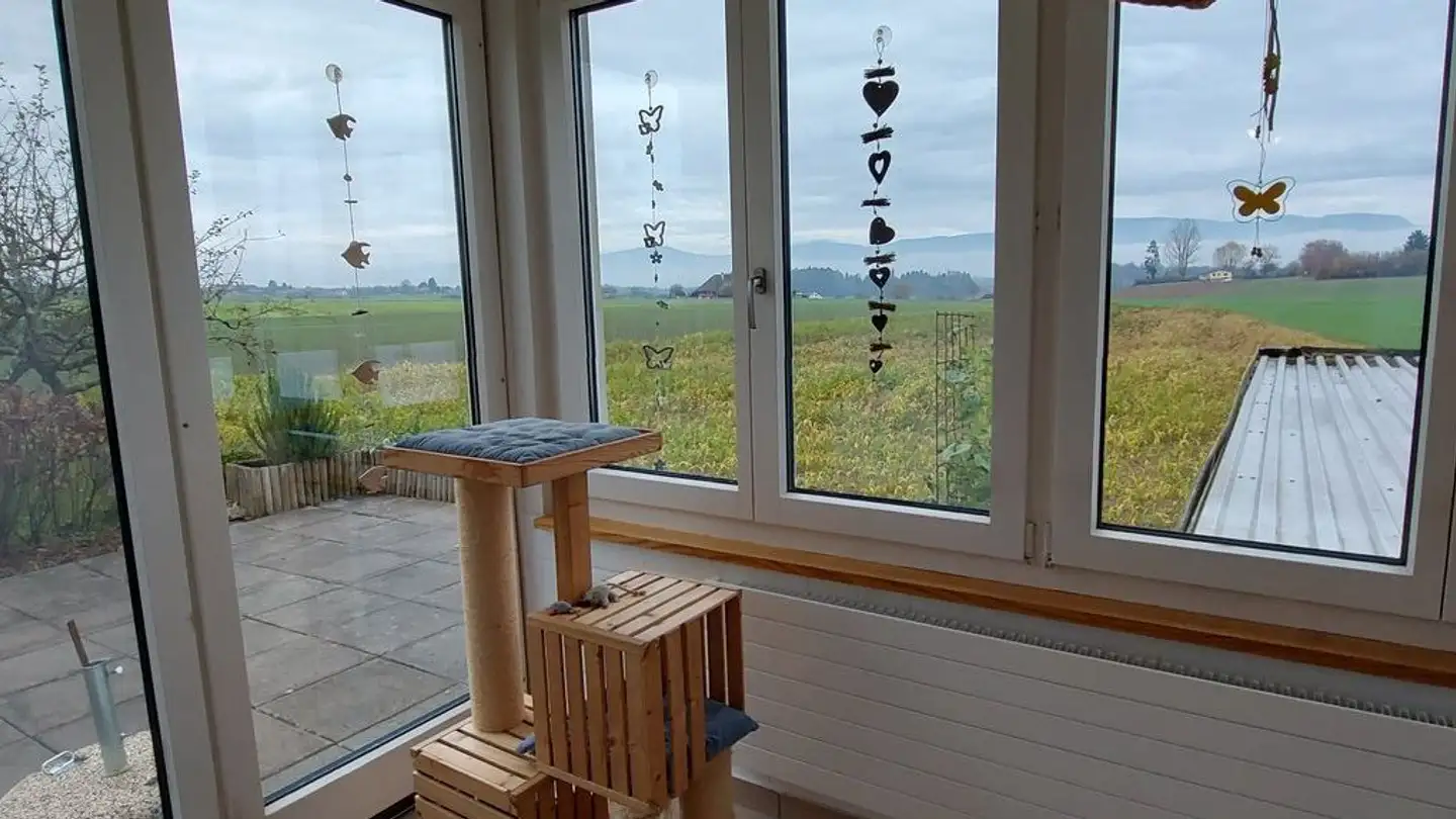 Casa singola in affitto - 4922 Thunstetten - Photo 3