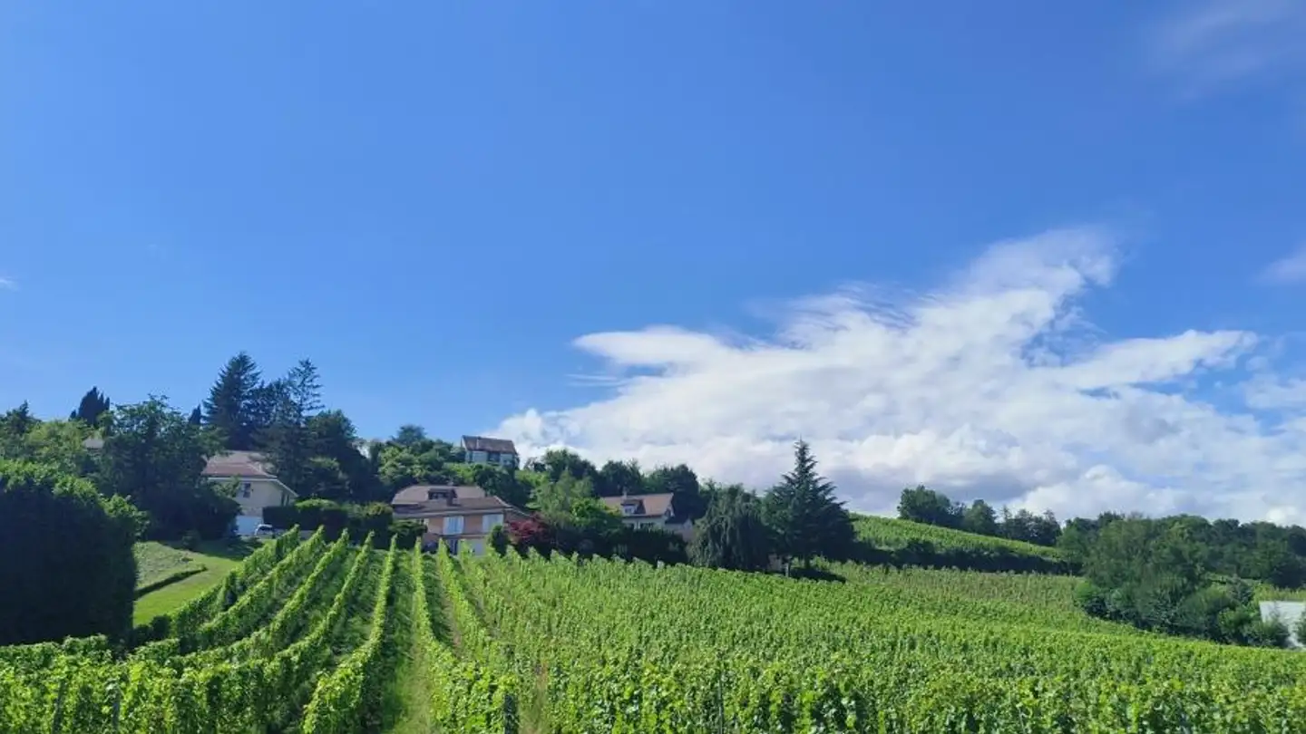 Studio in vendita - Rue du Château 8, 1026 Echandens - Foto 4