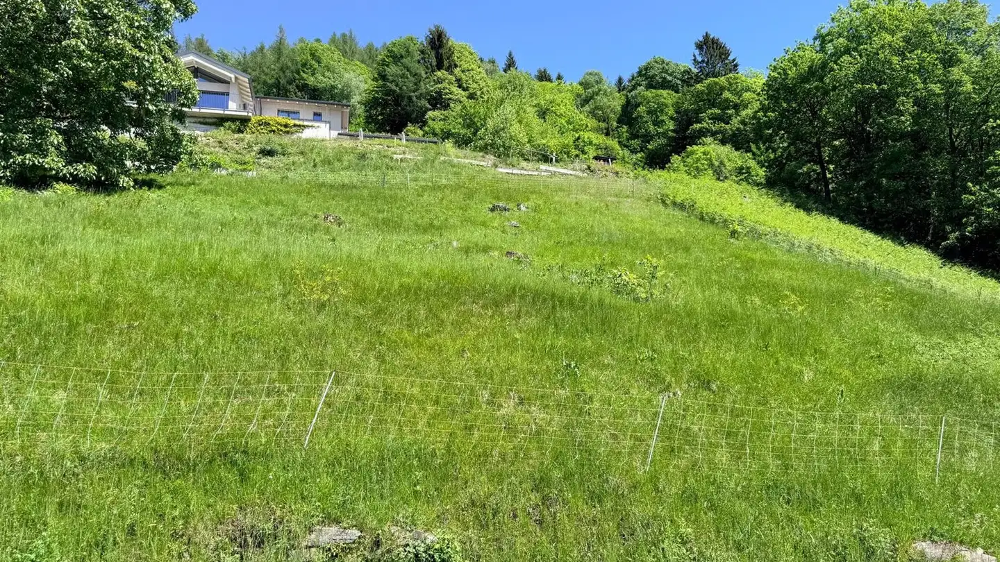 Terrain commercial à vendre - 6994 Aranno