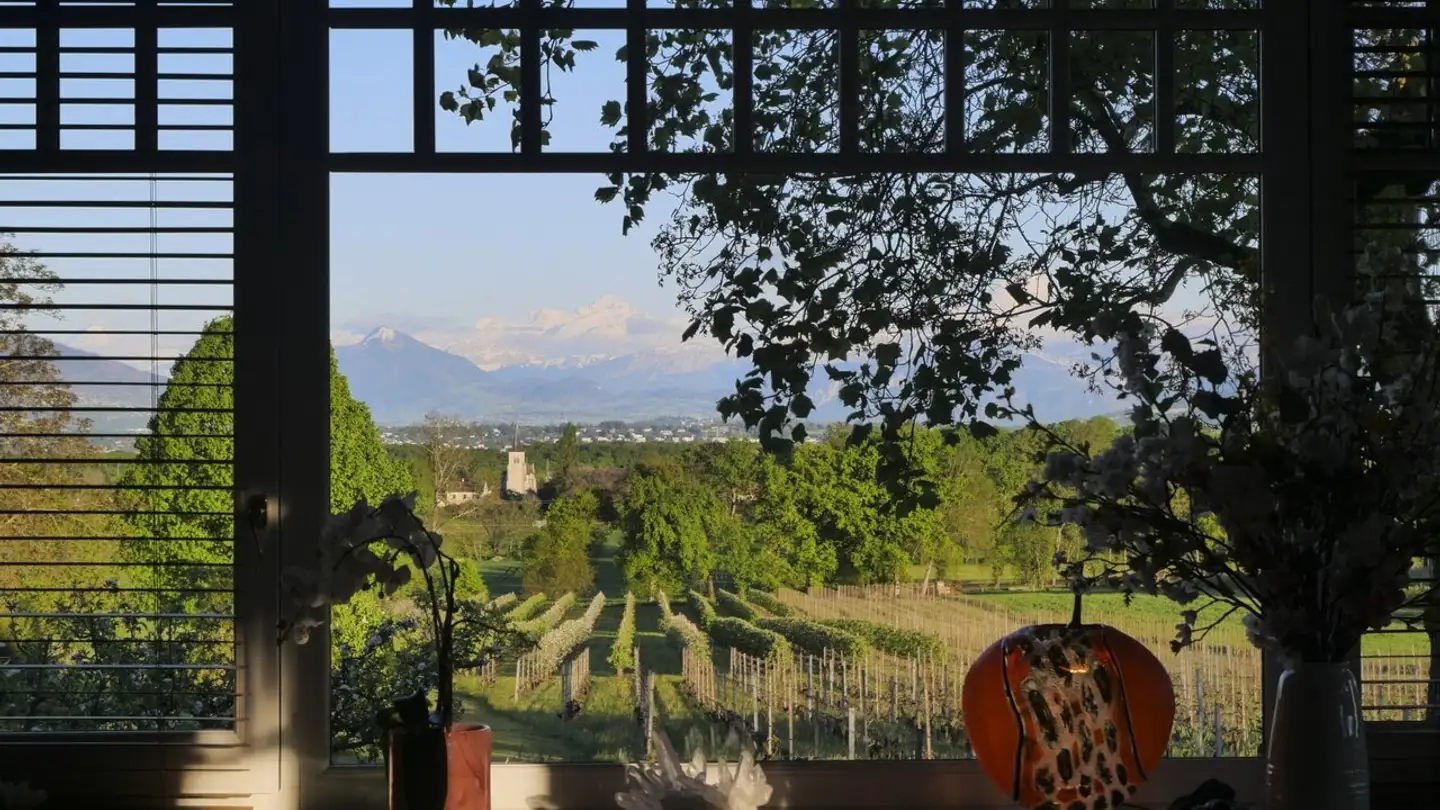 Villa for sale - 1239 Collex - Photo 3