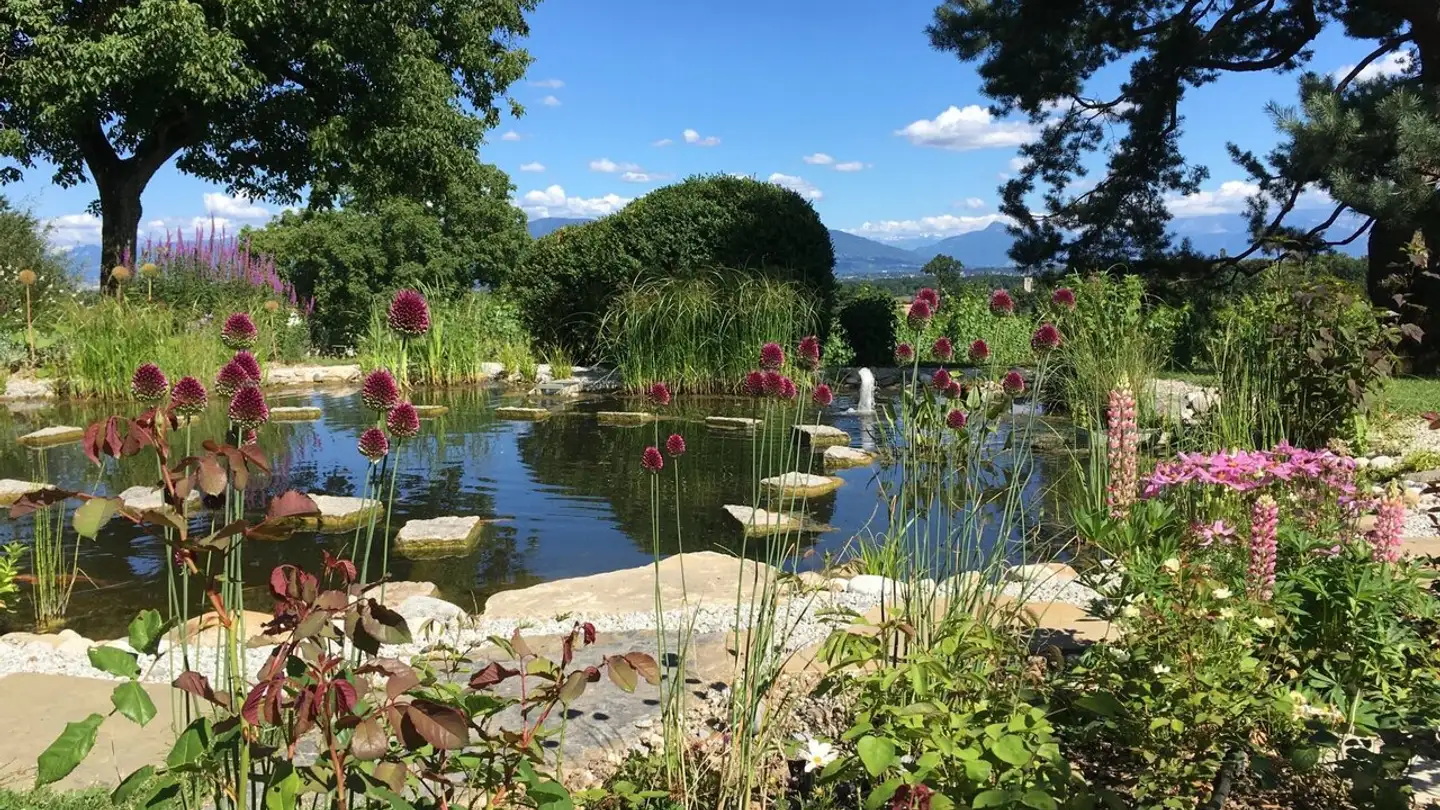 Villa for sale - 1239 Collex - Photo 4