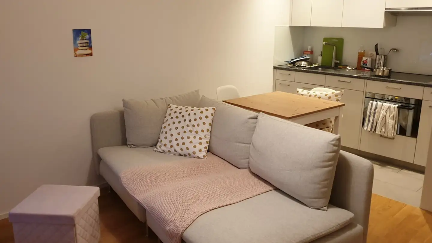 Apartment for rent - Zurlindenstrasse, 8003 Zürich - Photo 2