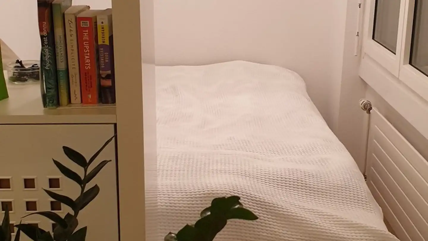 Apartment for rent - Zurlindenstrasse, 8003 Zürich - Photo 4