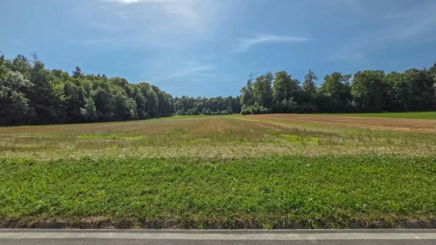 Single house for sale - 5242 Lupfig - Photo 3