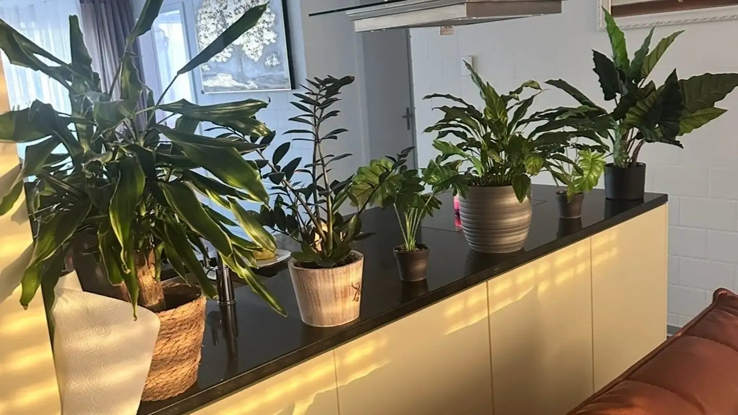 Wohnung mieten - Route Henri Druey 12, 1595 Faoug - Foto 3