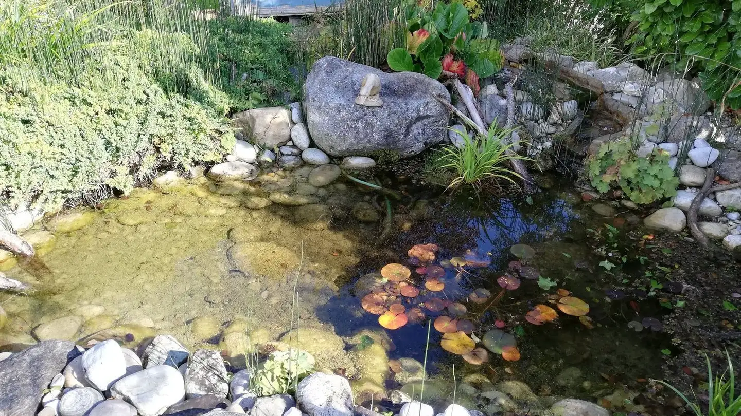 Casa a schiera in vendita - Dorfweg 2, 4713 Matzendorf - Photo 3