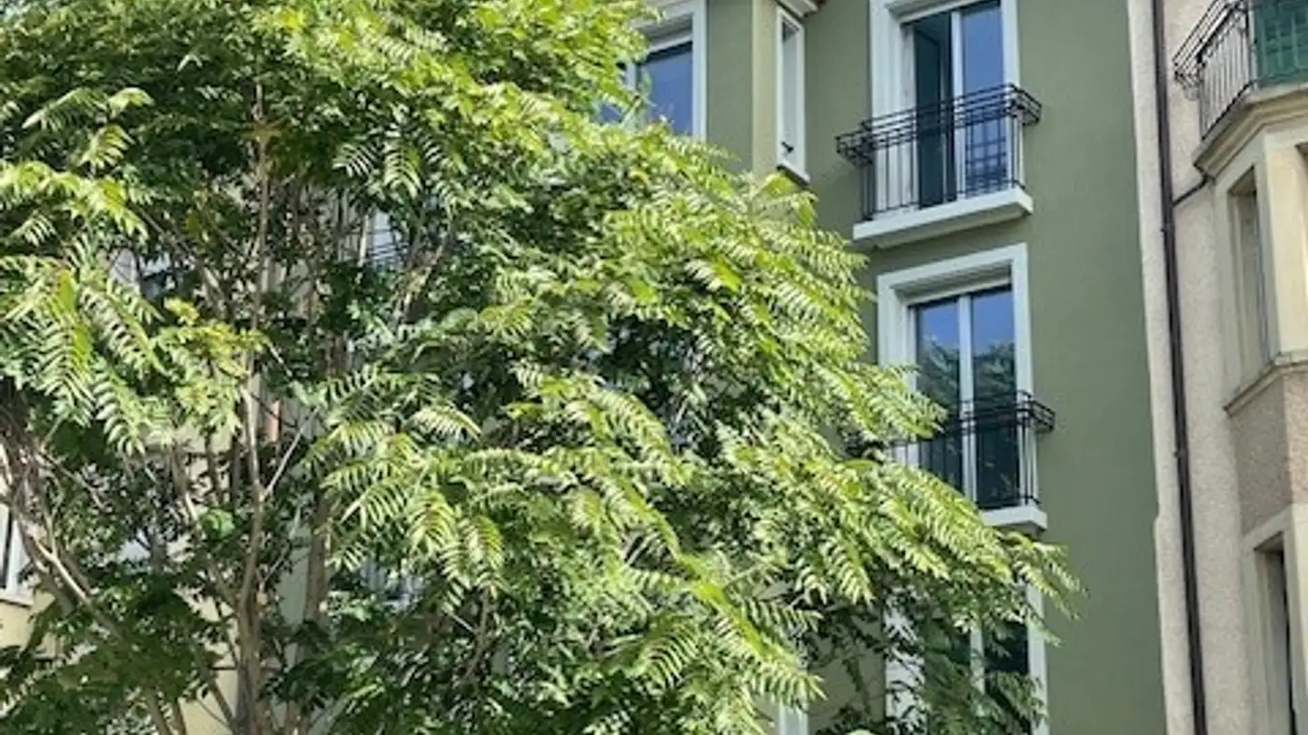 Attique à louer - Vogesenstrasse 52, 4056 Basel