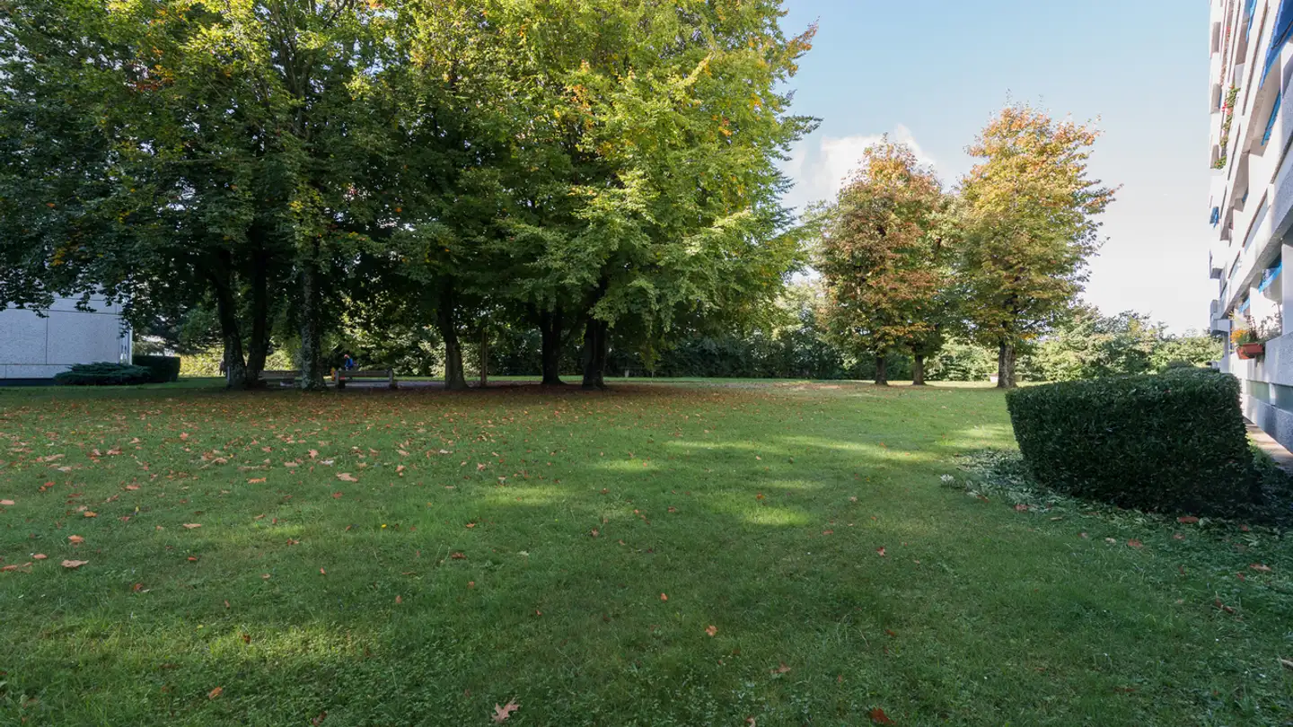 Appartamento in affitto - Avenue Du Parc-De-La-Rouvraie, 1018 Lausanne - Foto 3