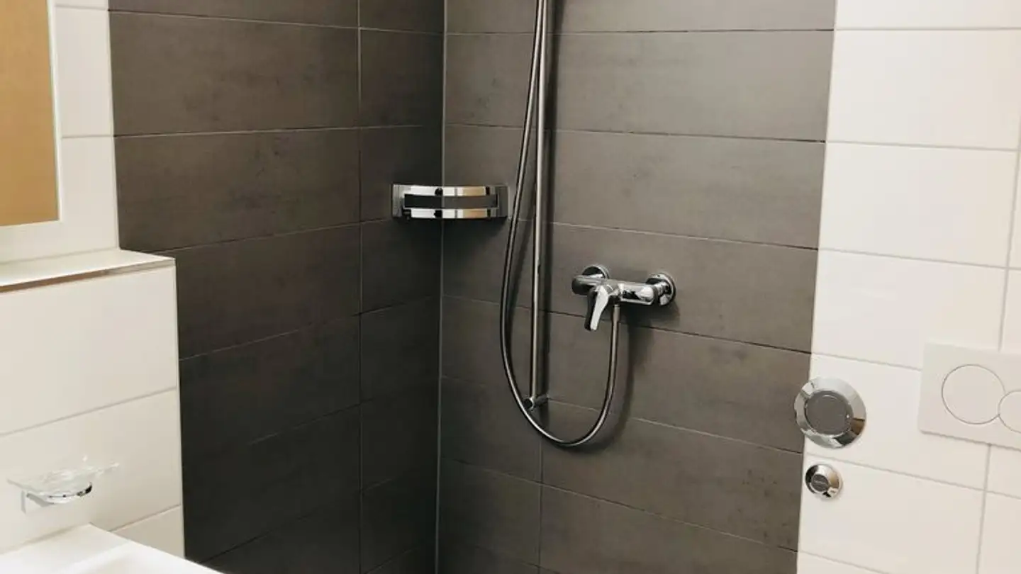 Apartment for rent - Agnesstrasse 22, 8004 Zürich - Photo 3