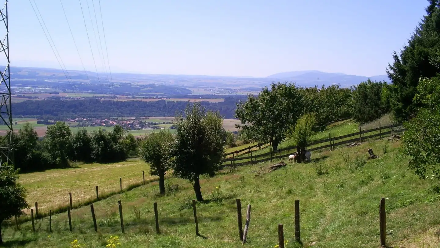 Constructible plot for sale - 1423 Villars-Burquin - Photo 3