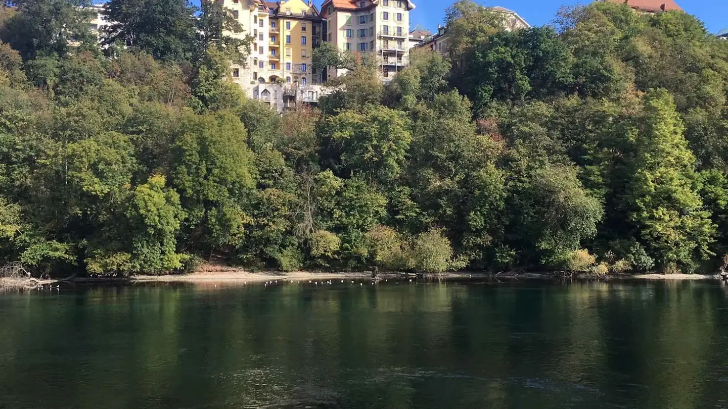Attic flat for sale - 1203 Genève - Photo 2