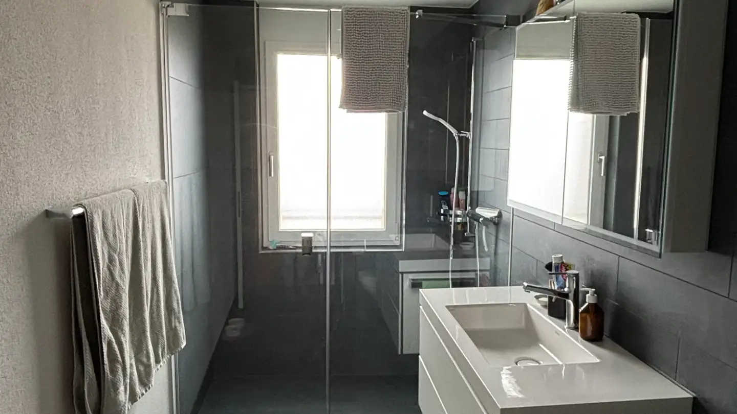 Chambre à louer - Birkenstrasse, 6003 Luzern - Photo 3