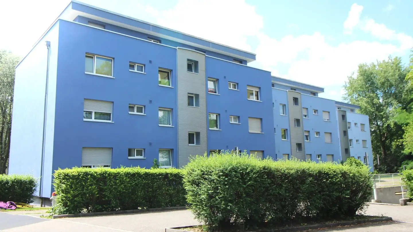 Appartement à louer - Buholzweg 8, 4133 Pratteln