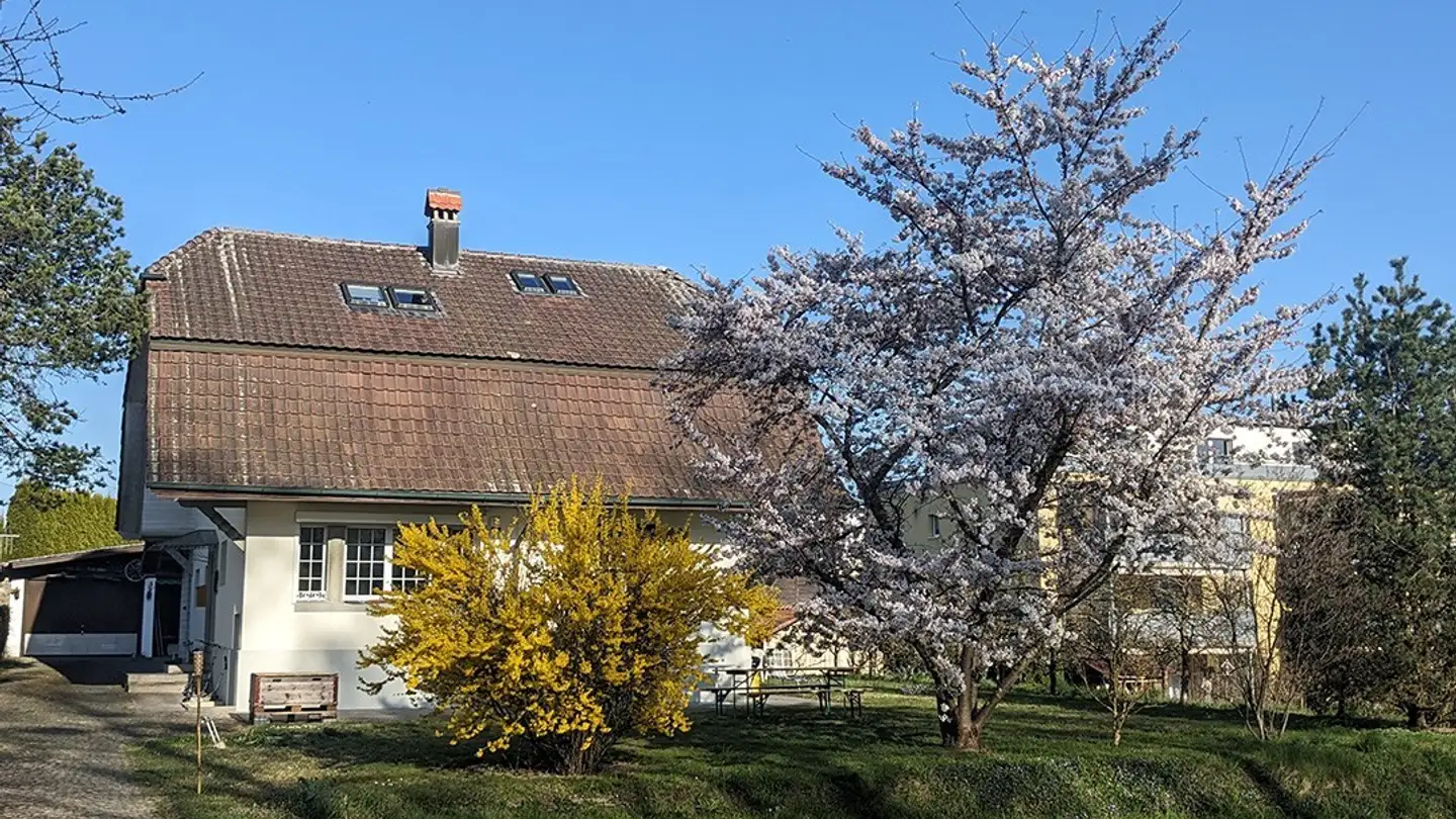 Chambre à louer - 3053 Münchenbuchsee - Photo 2