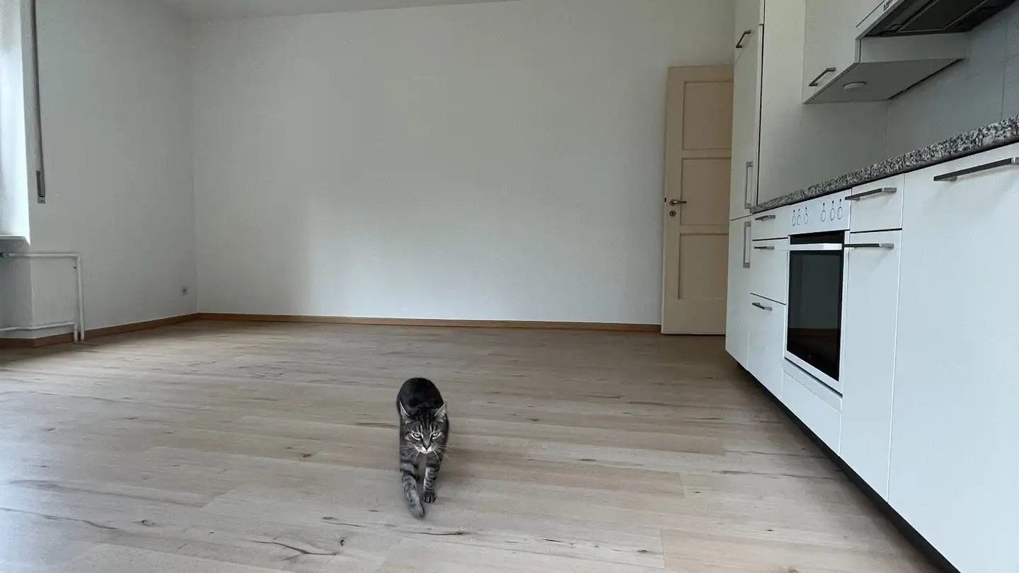 Appartamento in affitto - Via Pedemonte 15, 6962 Viganello - Foto 2