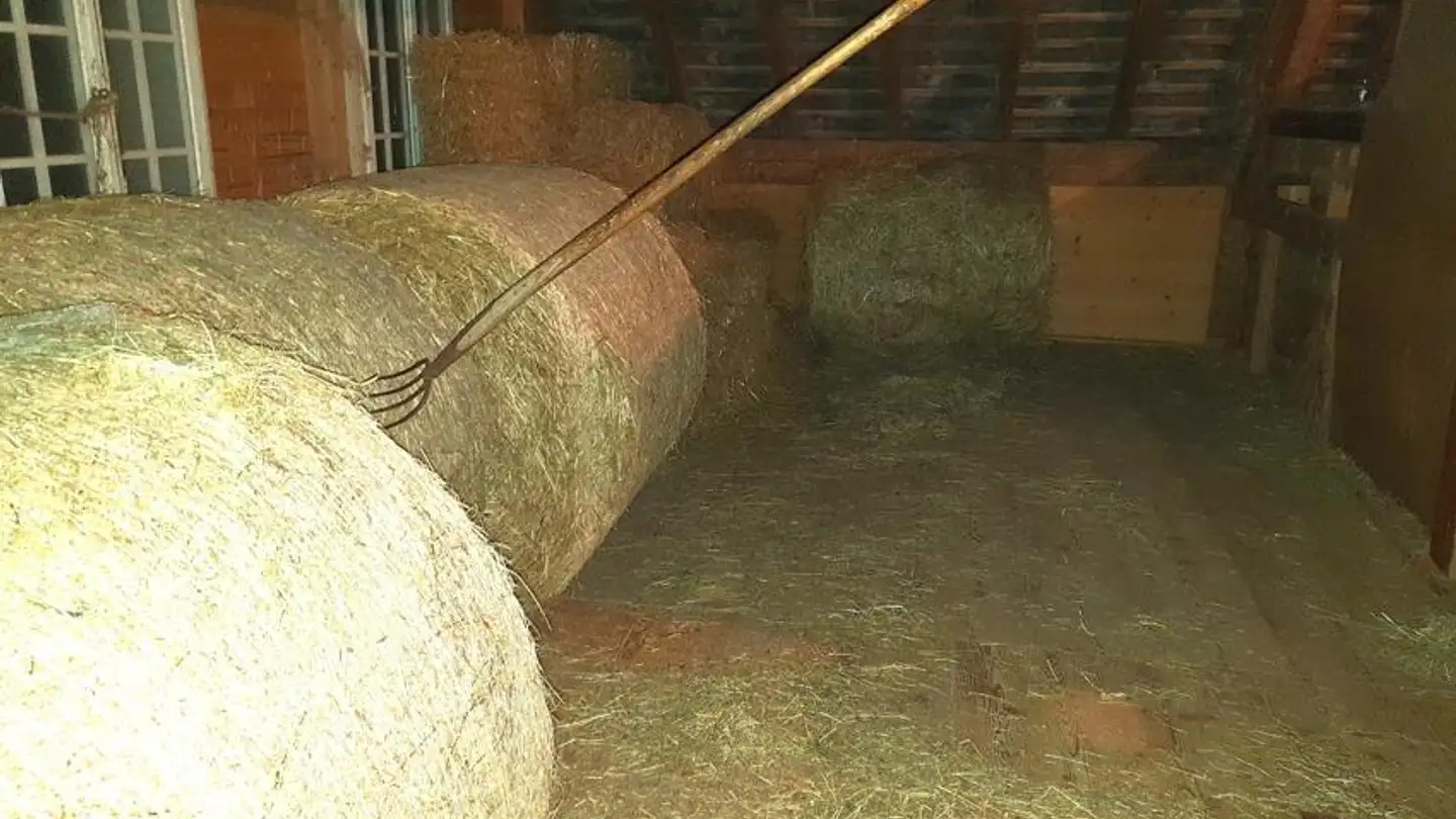 Fattoria in vendita - 3154 Rüschegg Heubach - Photo 4