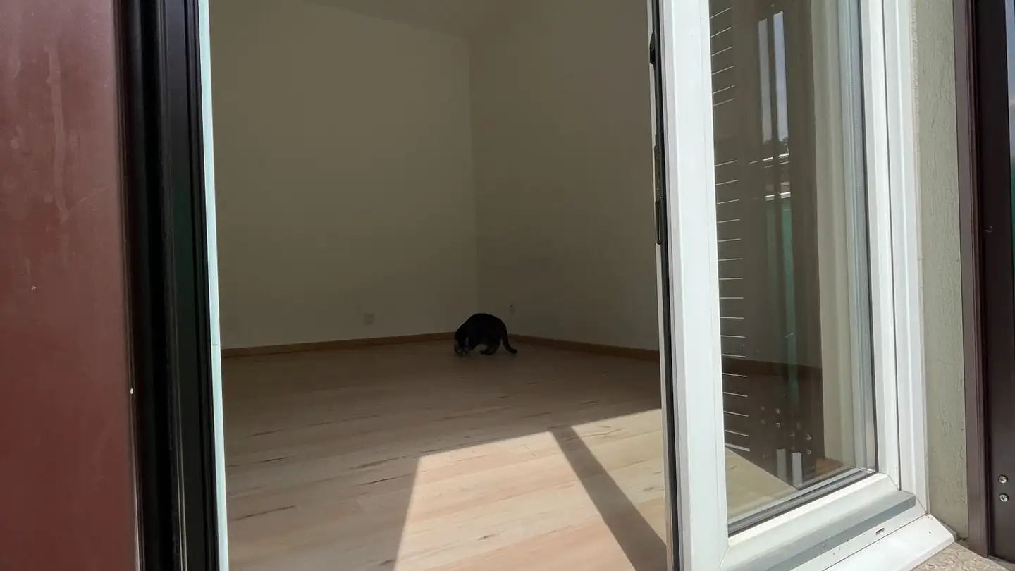 Appartamento in affitto - Via Pedemonte 15, 6962 Viganello - Foto 3