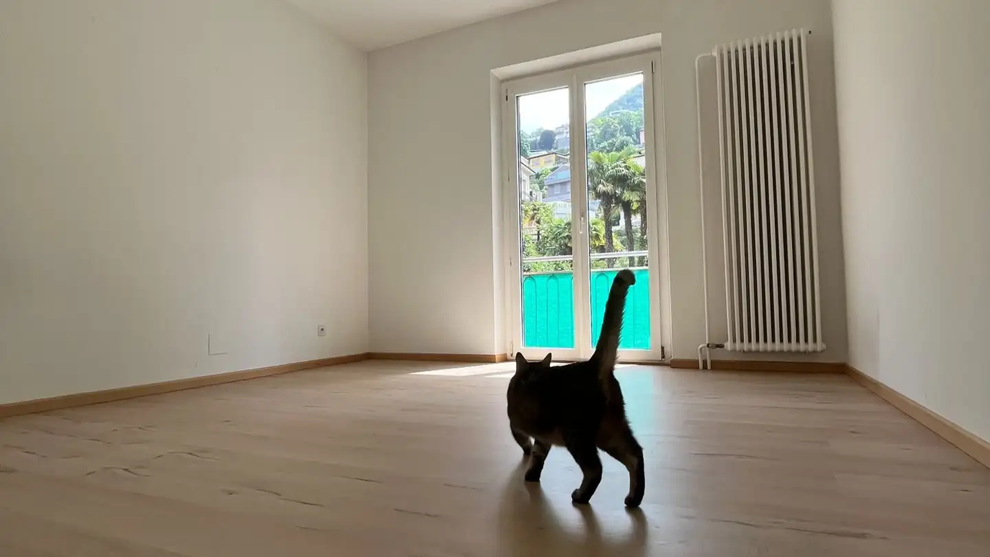 Appartamento in affitto - Via Pedemonte 15, 6962 Viganello - Foto 4