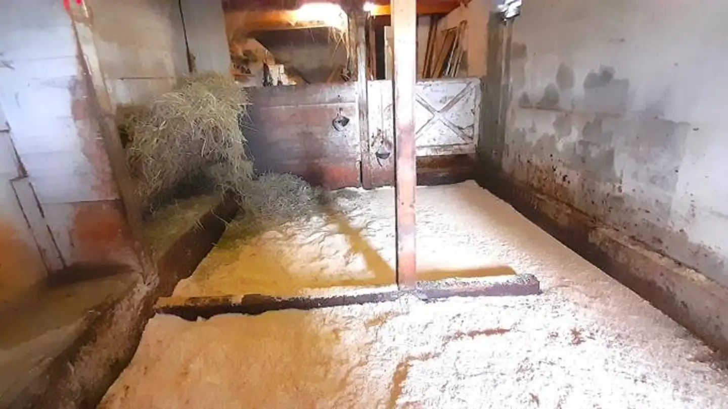 Fattoria in vendita - 3154 Rüschegg Heubach - Photo 3