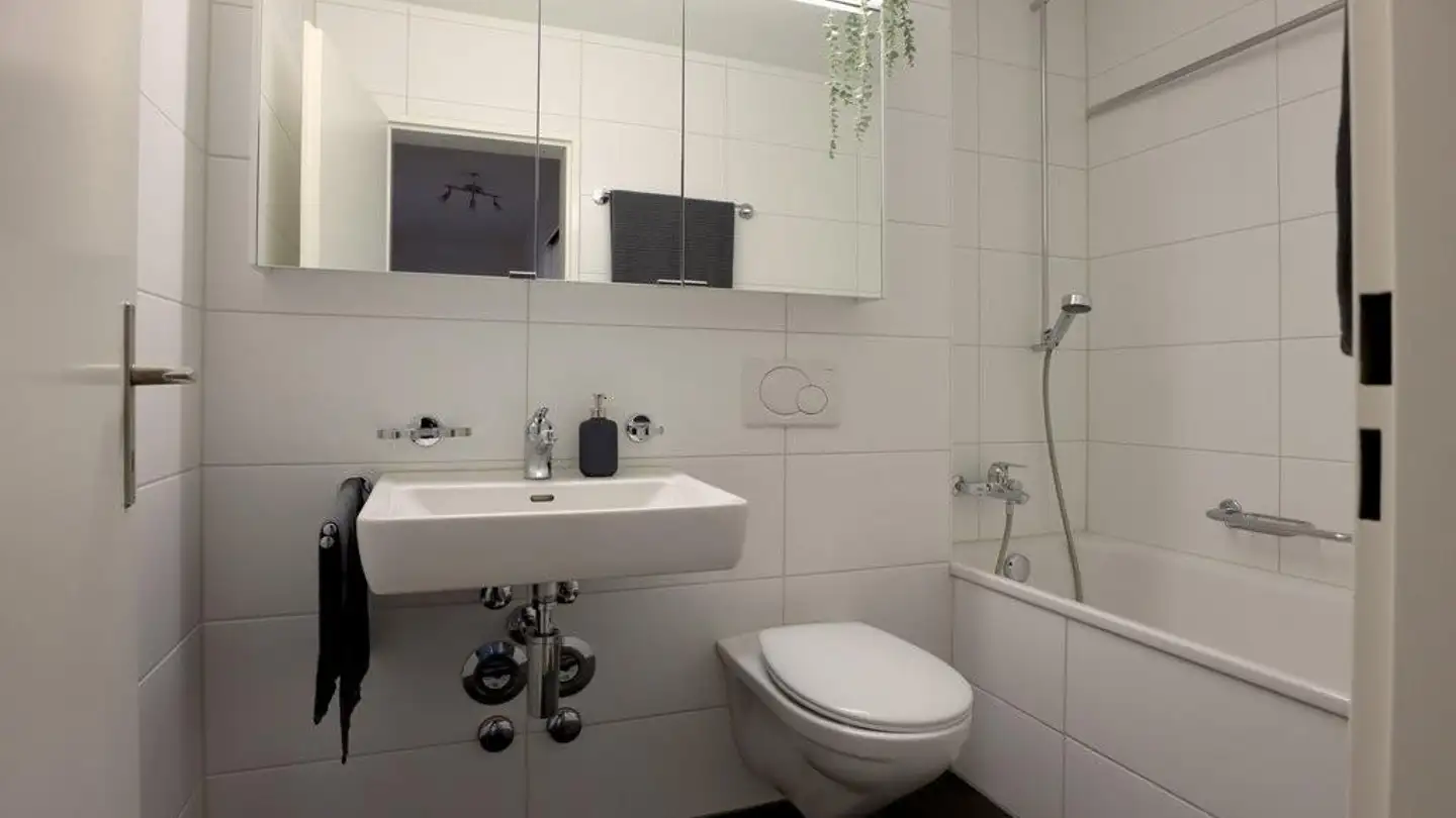 Wohnung mieten - Tschäpperliring 6, 4153 Reinach BL - Foto 3