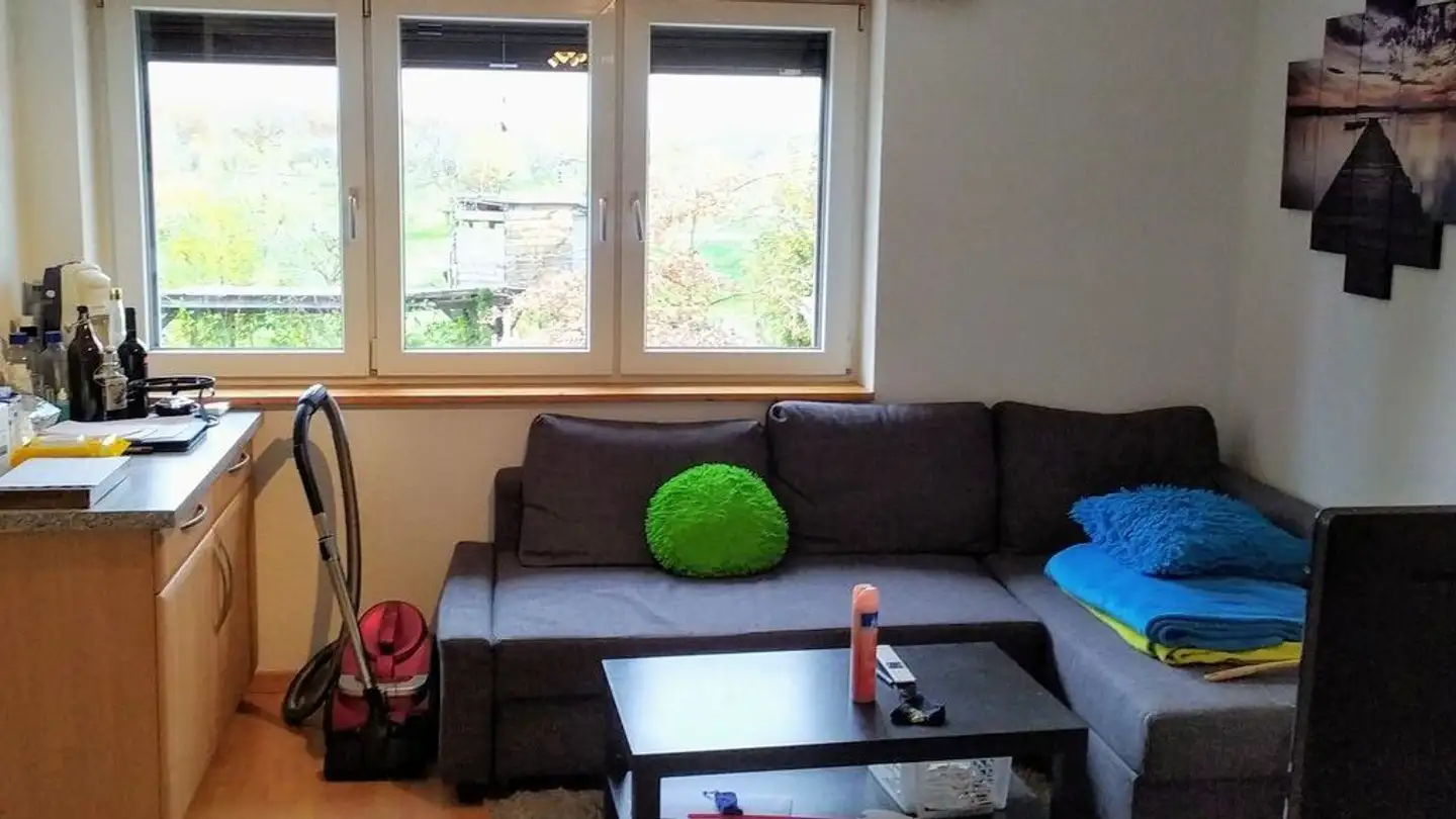 Studio à louer - Hauptstrasse 62, 4411 Seltisberg - Photo 4