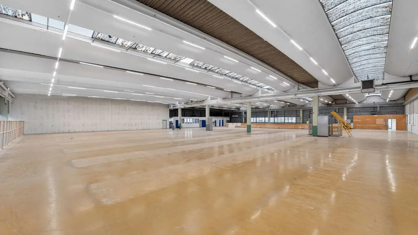 Commercial for rent - 6331 Hünenberg