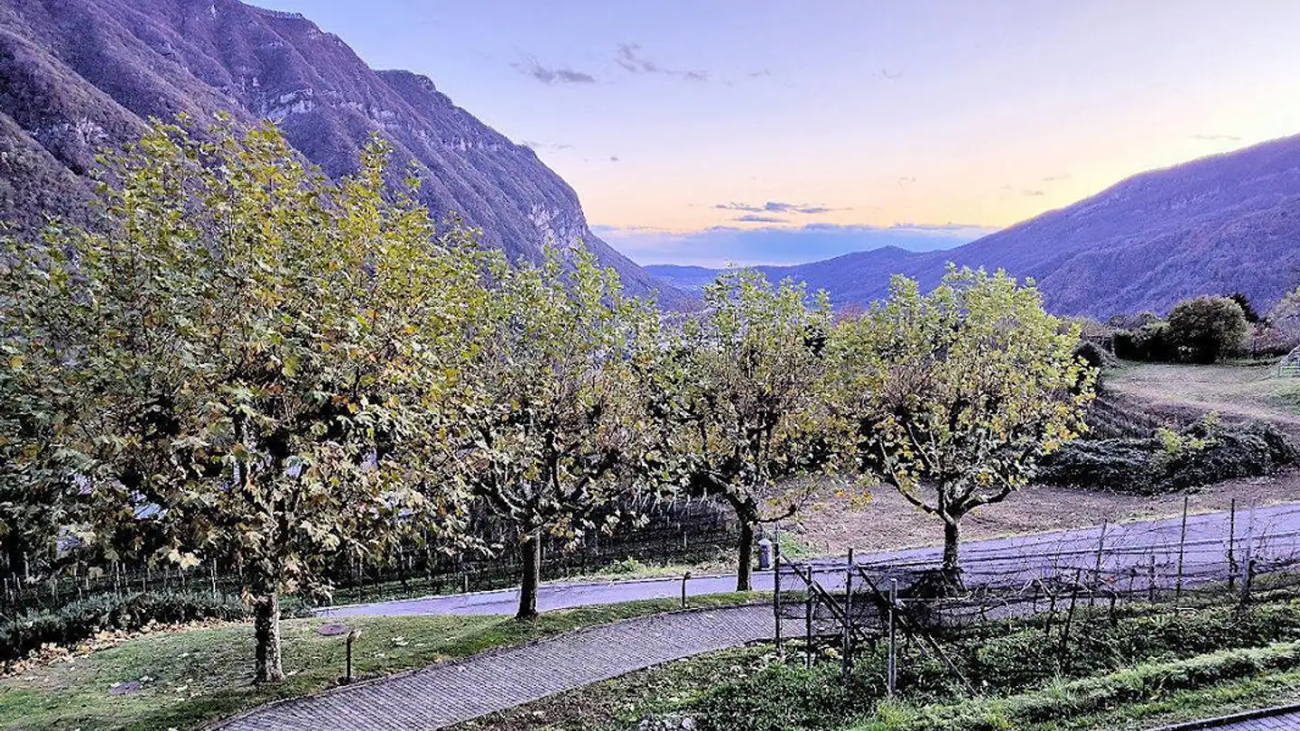 Appartamento in vendita - Via San Vigilio 11, 6821 Rovio - Foto 3