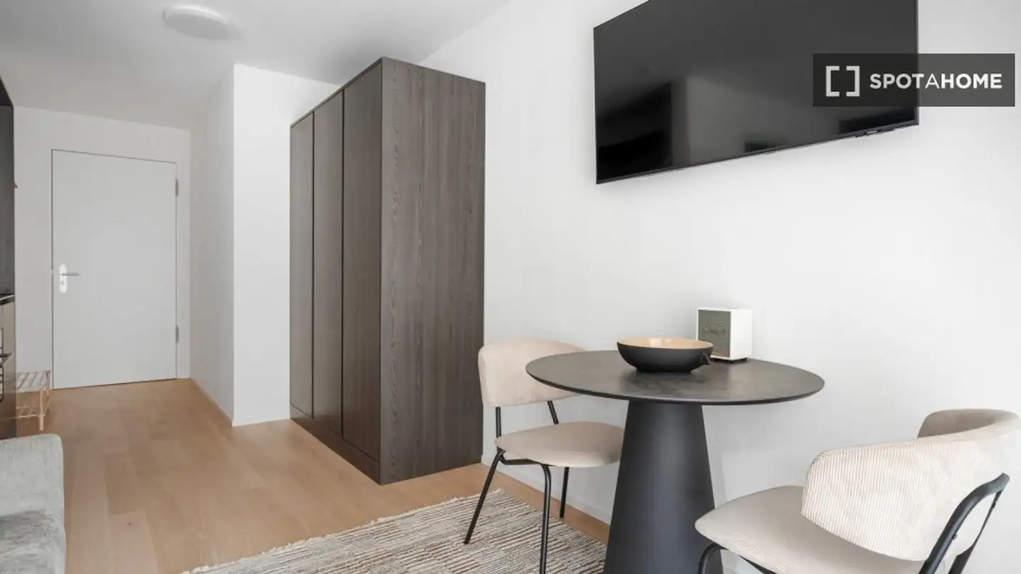 Studio for rent - 8003 Zürich