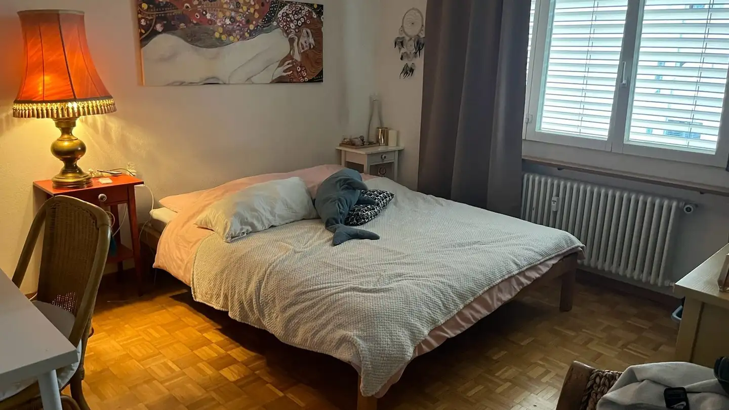 Chambre à louer - 8046 Zürich
