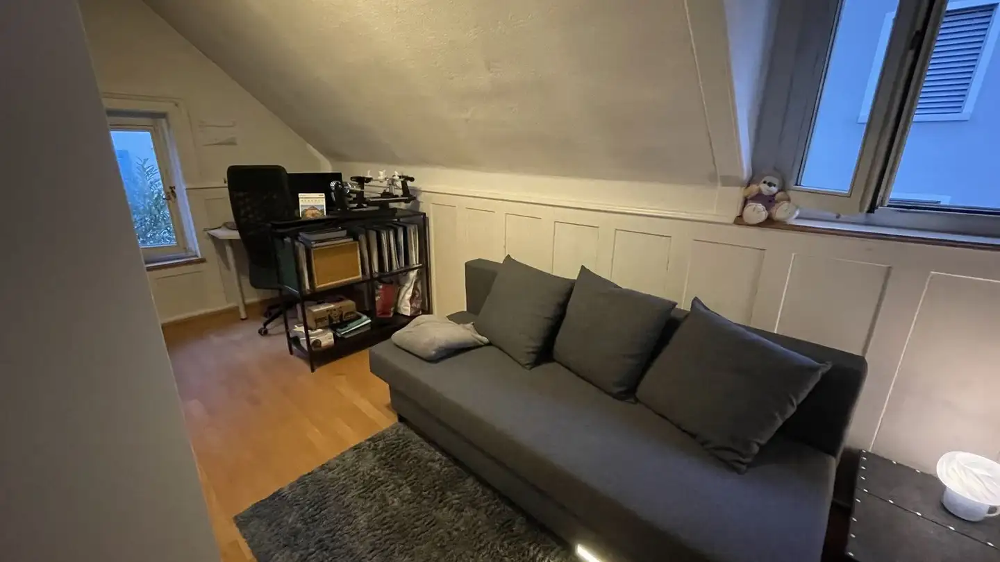 Appartement à louer - 8800 Thalwil