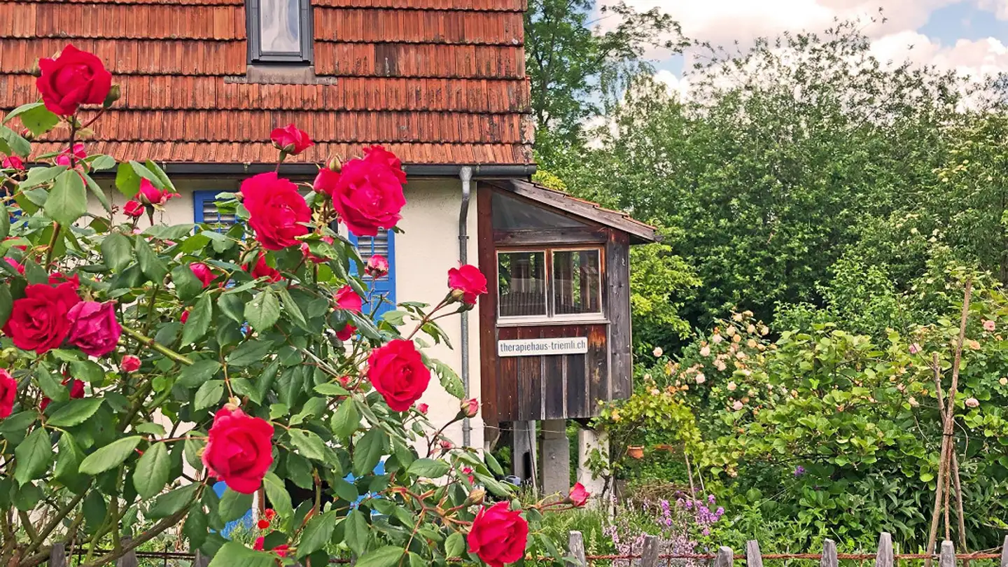 Arztpraxis mieten - Kellerweg 65, 8055 Zürich - Foto 4