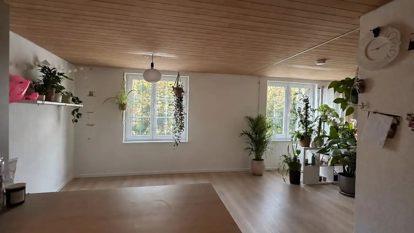 Studio in affitto - Hintergasse 32, 8353 Elgg