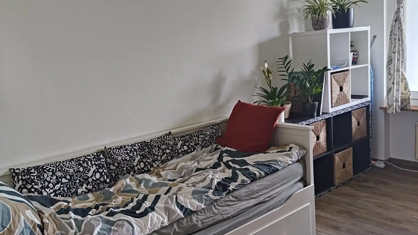 Appartamento in affitto - Funkwiesenstrasse 100, 8050 Zürich - Photo 3