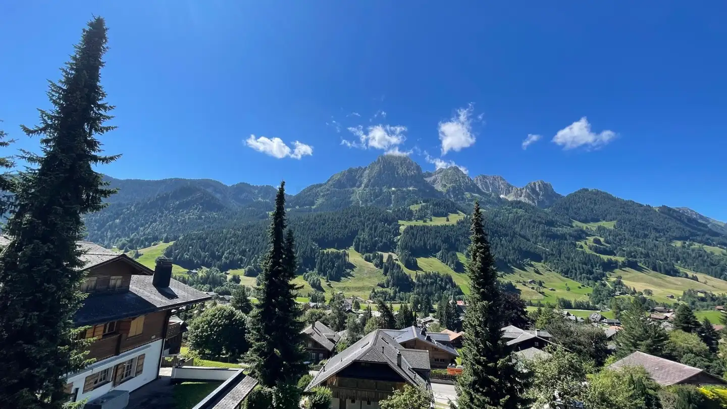 Appartement à vendre - 1659 Rougemont - Photo 2