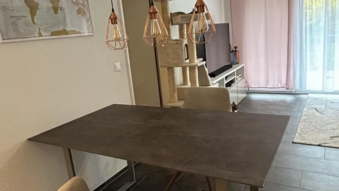 Stepped apartment for rent - Bahnweg 19, 7430 Thusis - Photo 4