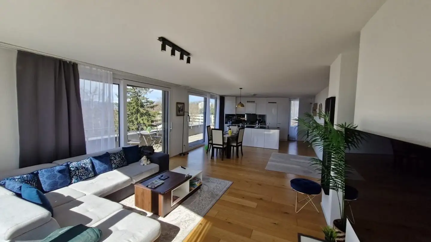 Appartamento in affitto - Chemin Des Roches 14, 1010 Lausanne