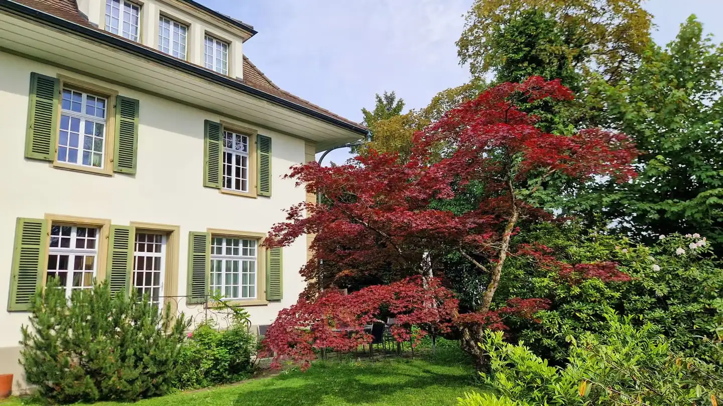 Apartment for rent - Sälistrasse 15, 4800 Zofingen