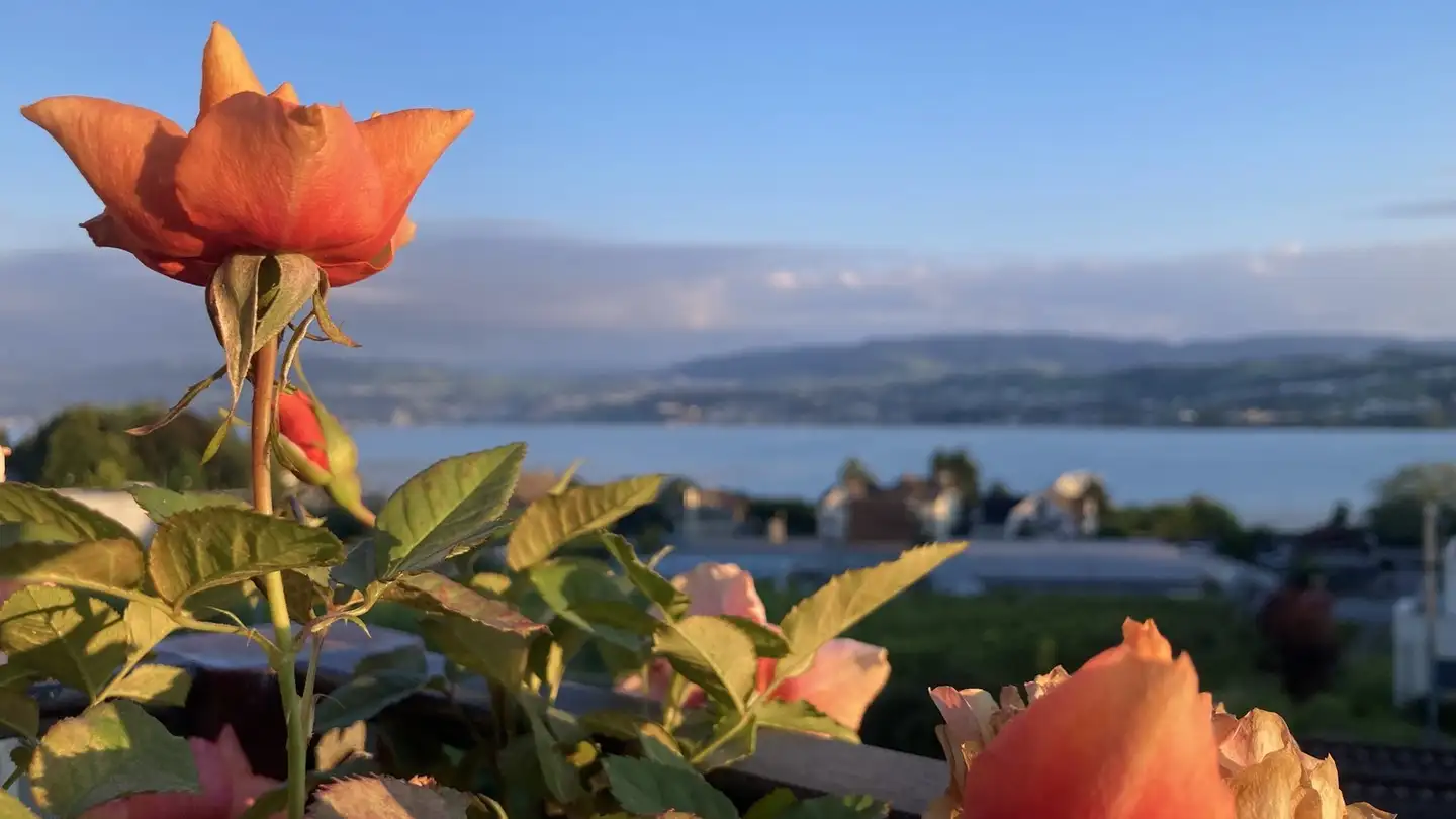 Wohnung mieten - 8706 Meilen - Foto 2