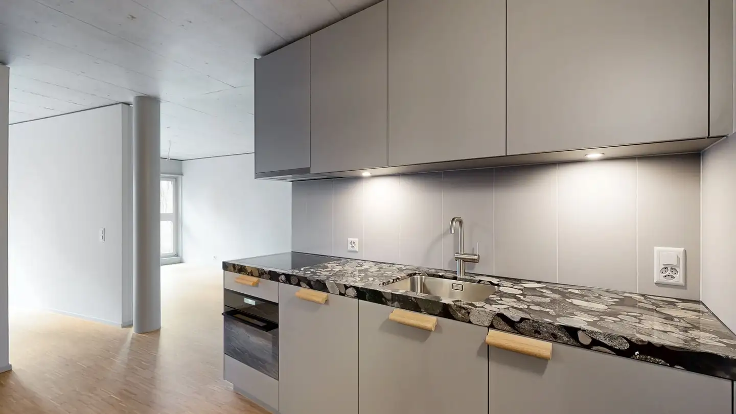 Appartement à louer - Birmensdorferstrasse 485, 8055 Zürich