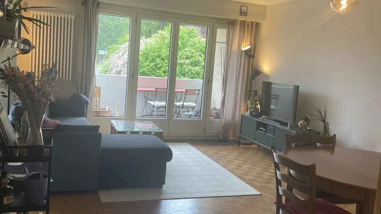 Furnished apartment for rent - Hohensteinweg, 8055 Zürich