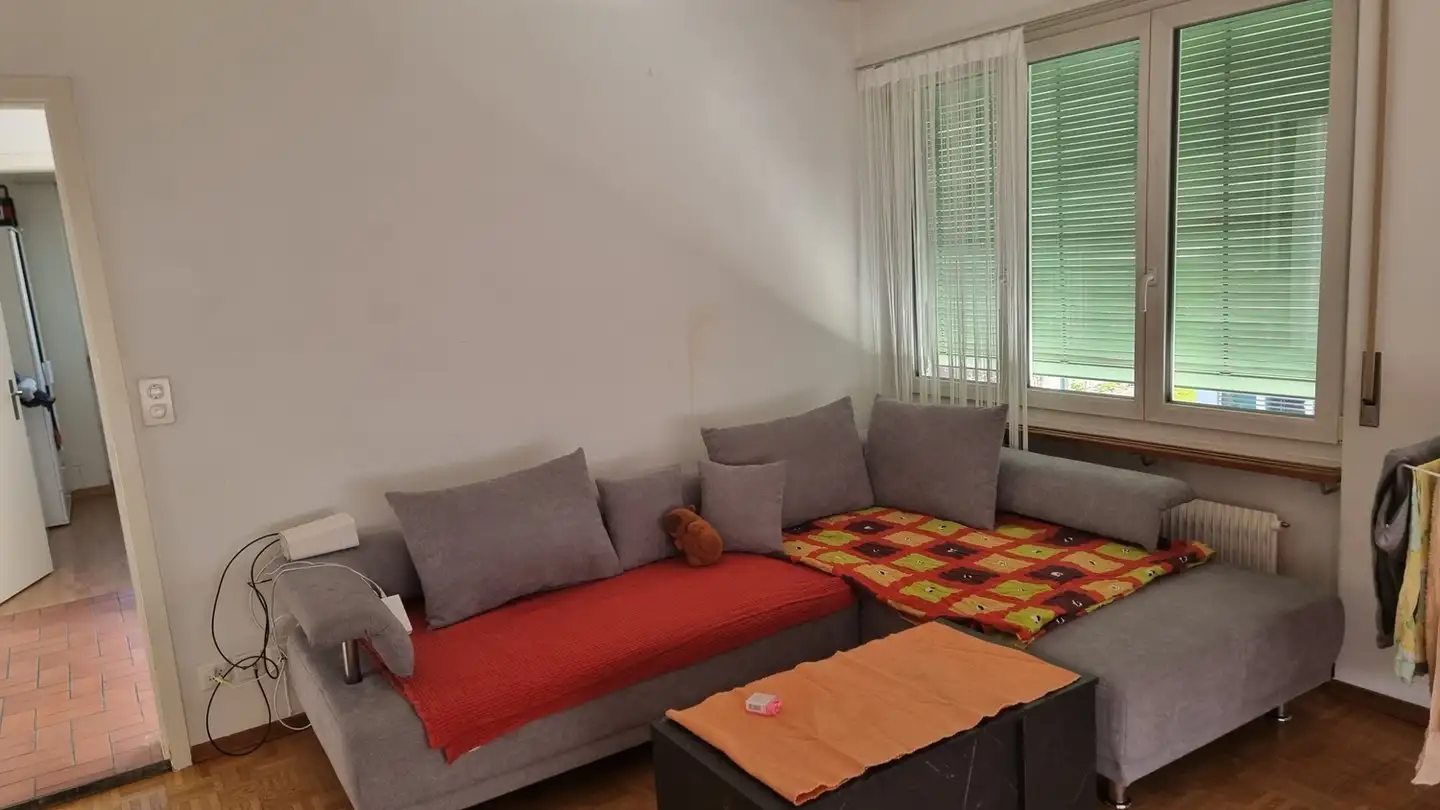 Appartamento in affitto - 8953 Dietikon
