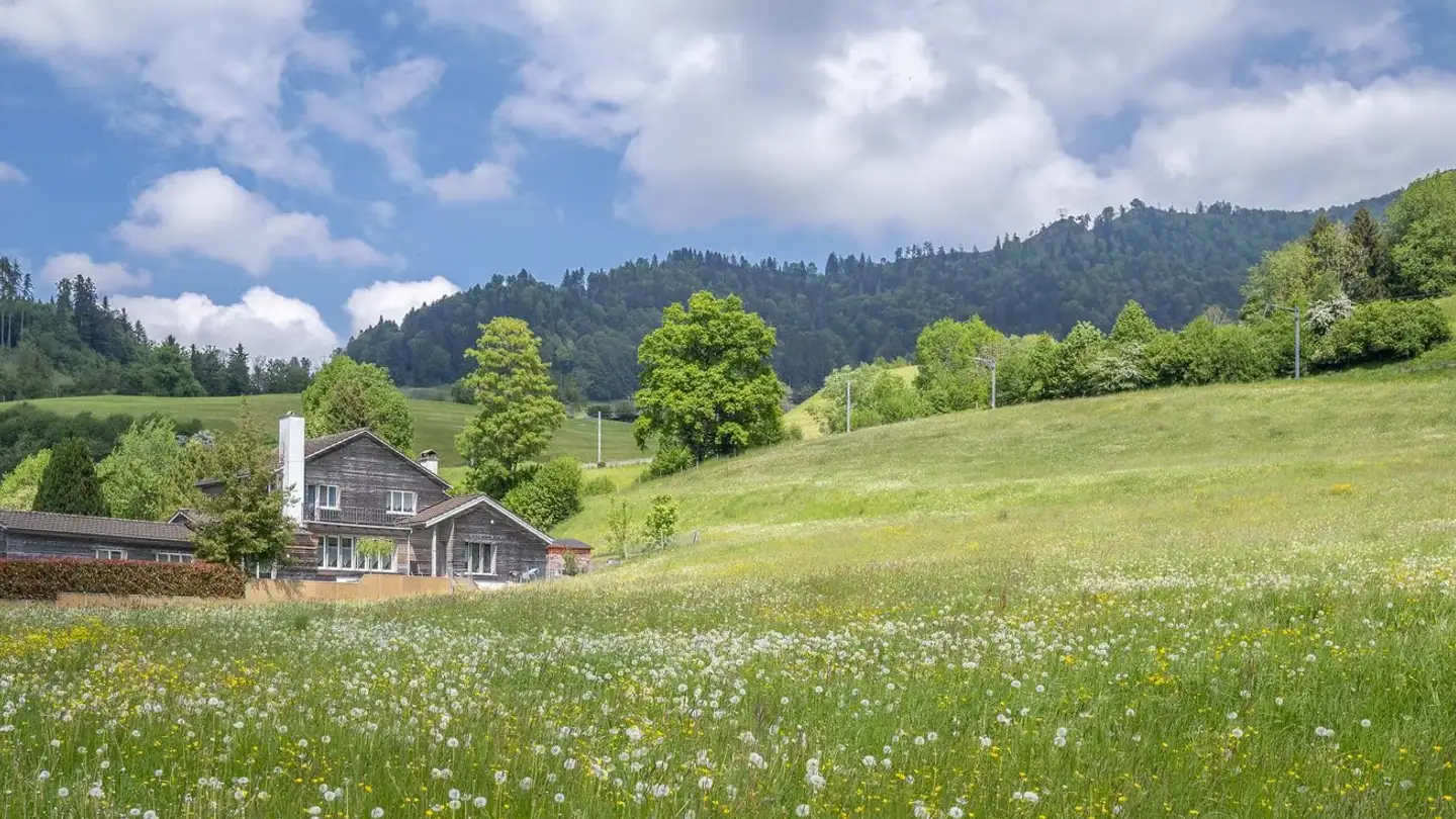 Single house for sale - Aatalstrasse 28, 8636 Wald ZH - Photo 2