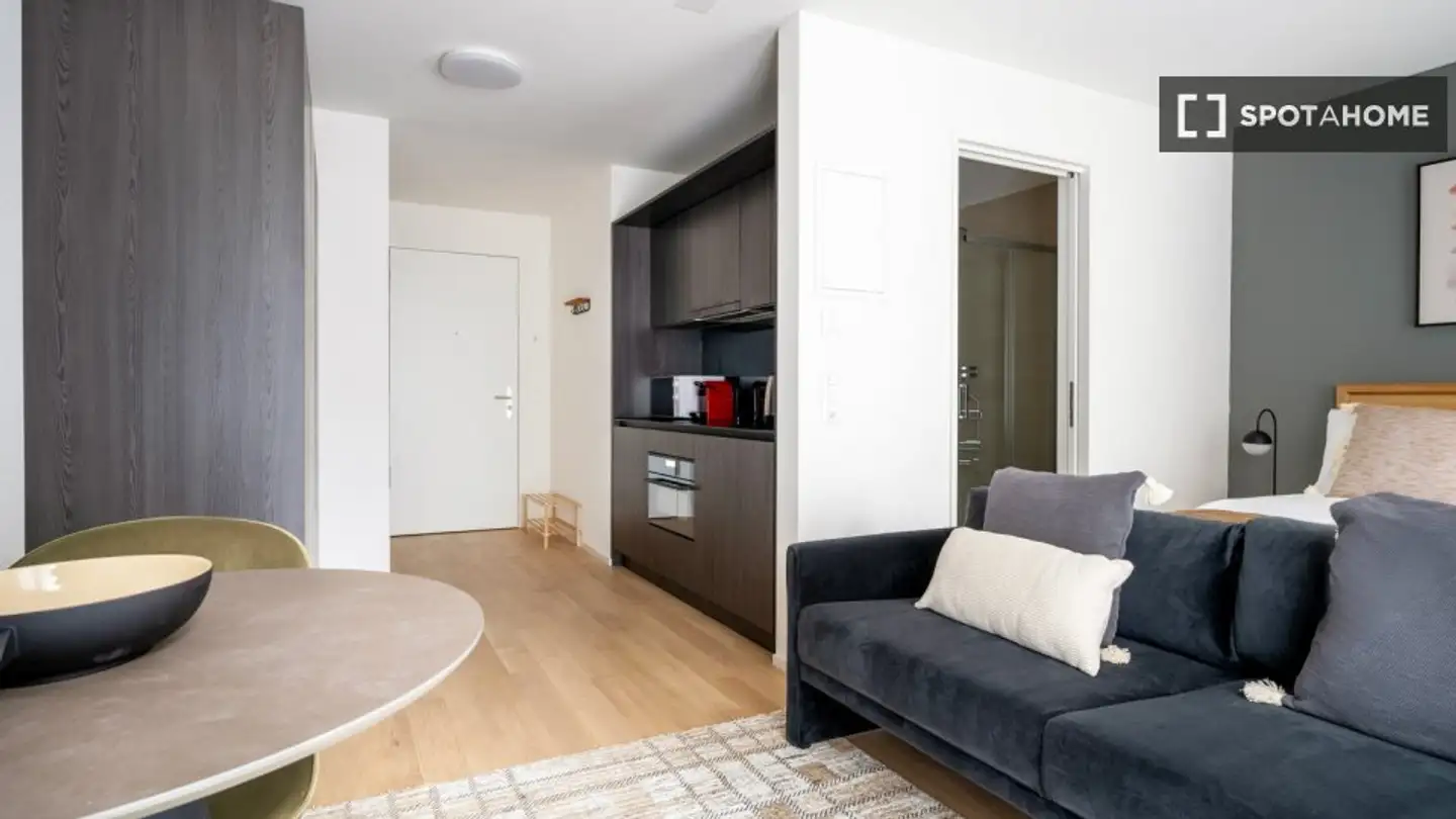Studio for rent - 8003 Zürich