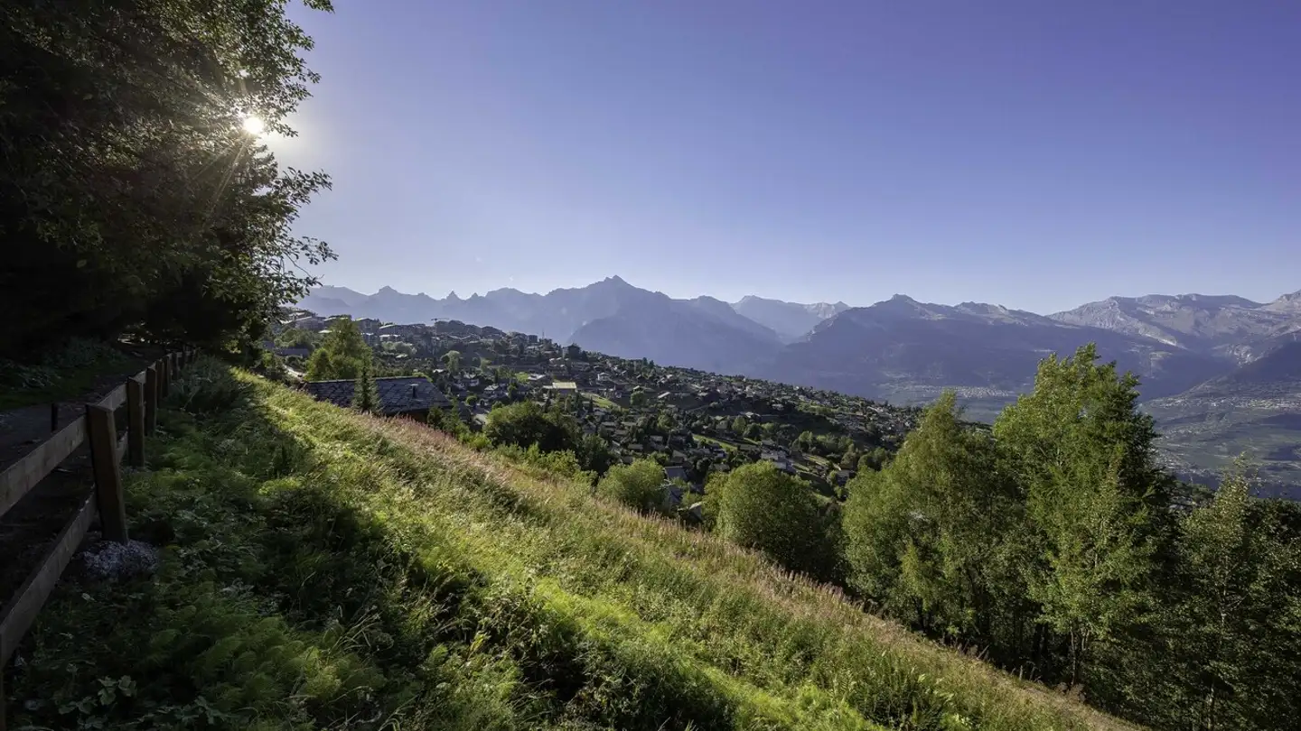 Commercial for sale - 1997 Haute-Nendaz - Photo 4
