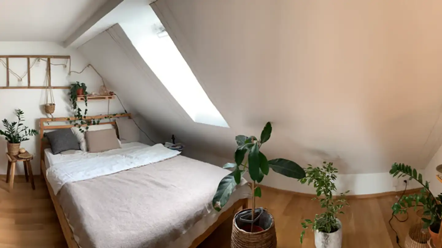 Chambre à louer - Sempacherstrasse, 6003 Luzern - Photo 3