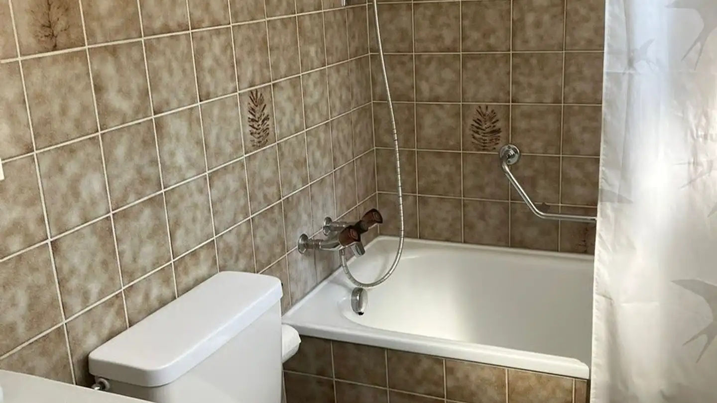 Appartamento in affitto - Rietwiesstrasse 47, 8737 Gommiswald - Foto 4