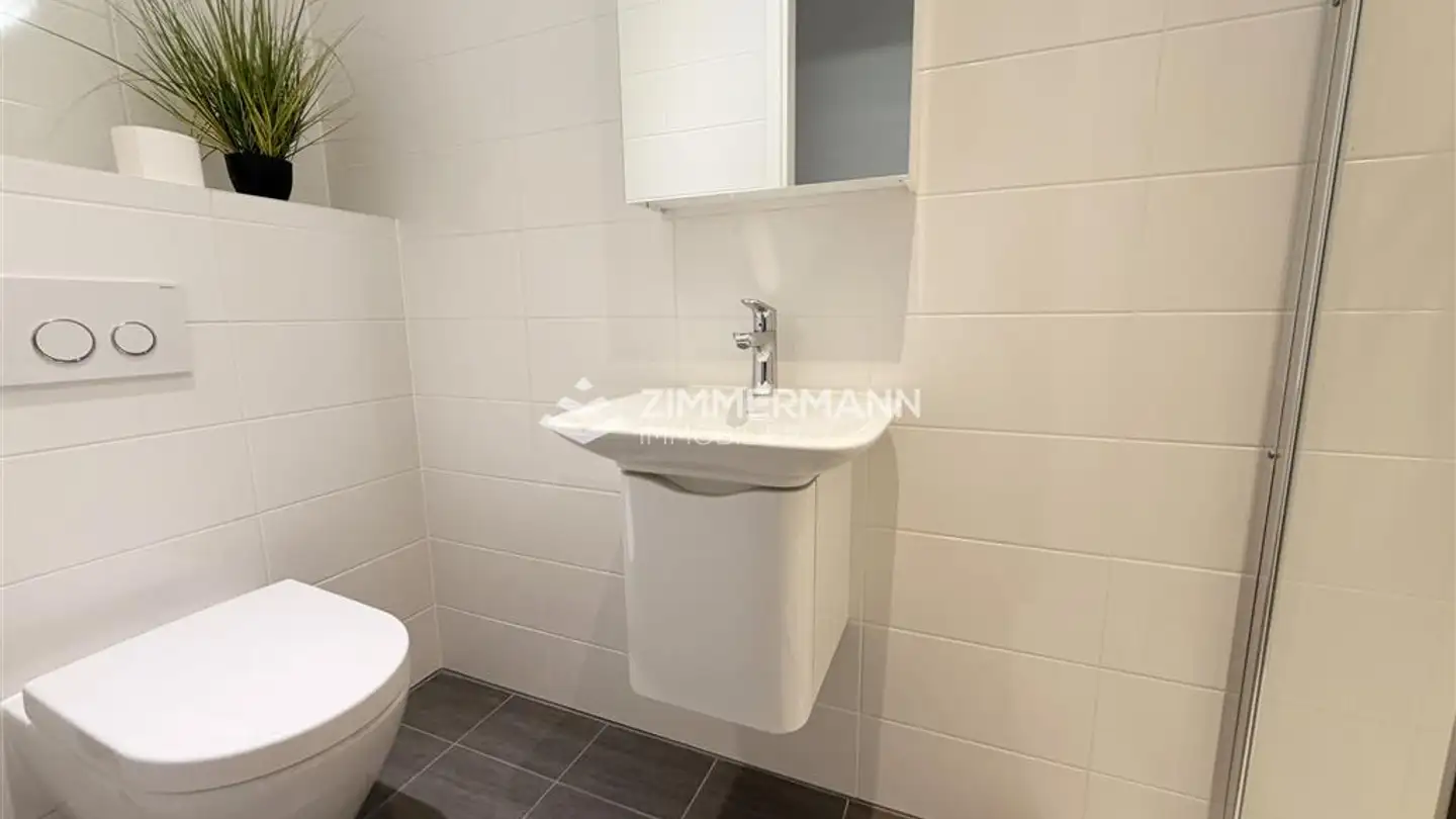 Möblierte Wohnung mieten - Chemin De La Tulette, 1223 Cologny