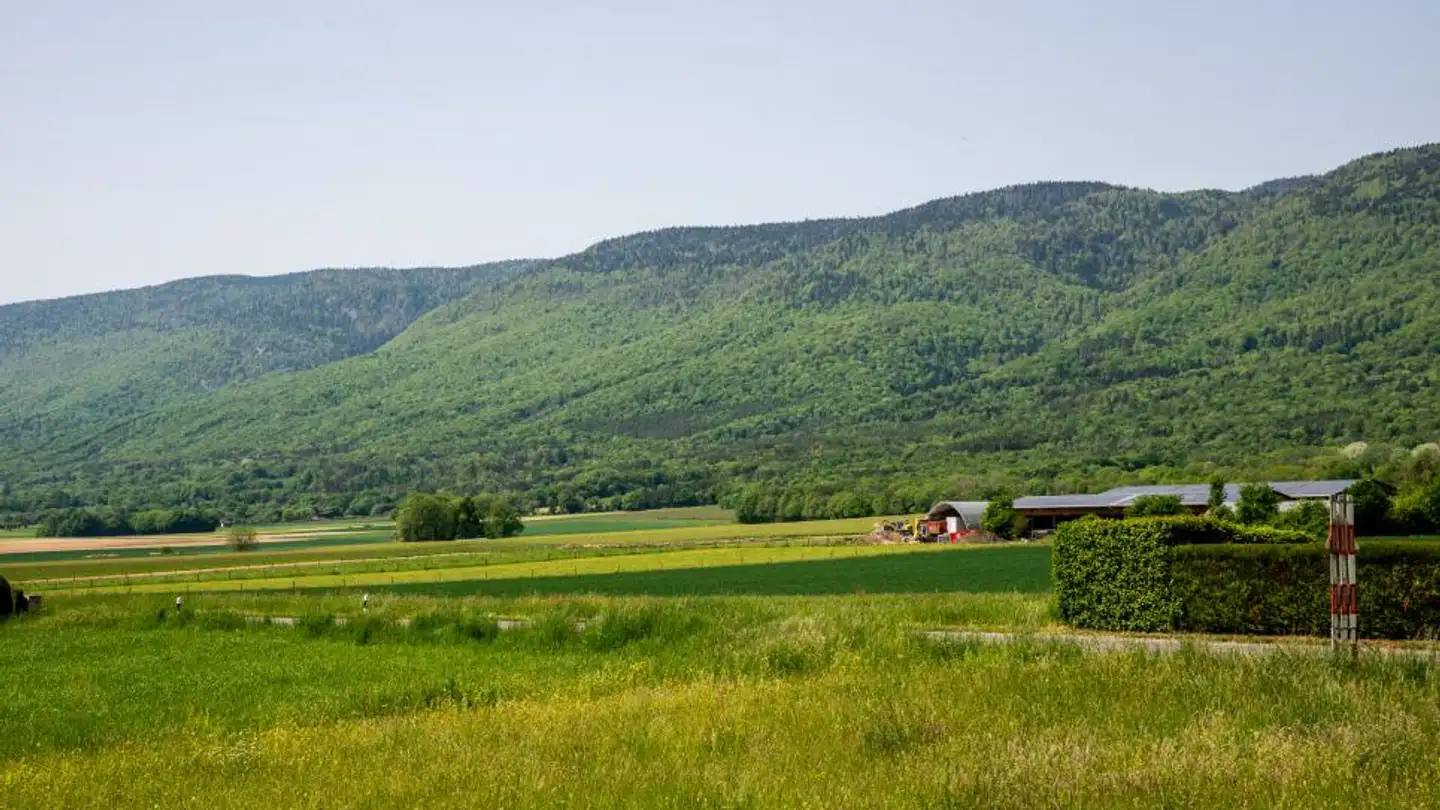 Villa kaufen - Route De Crassier 45, 1275 Chéserex - Foto 4
