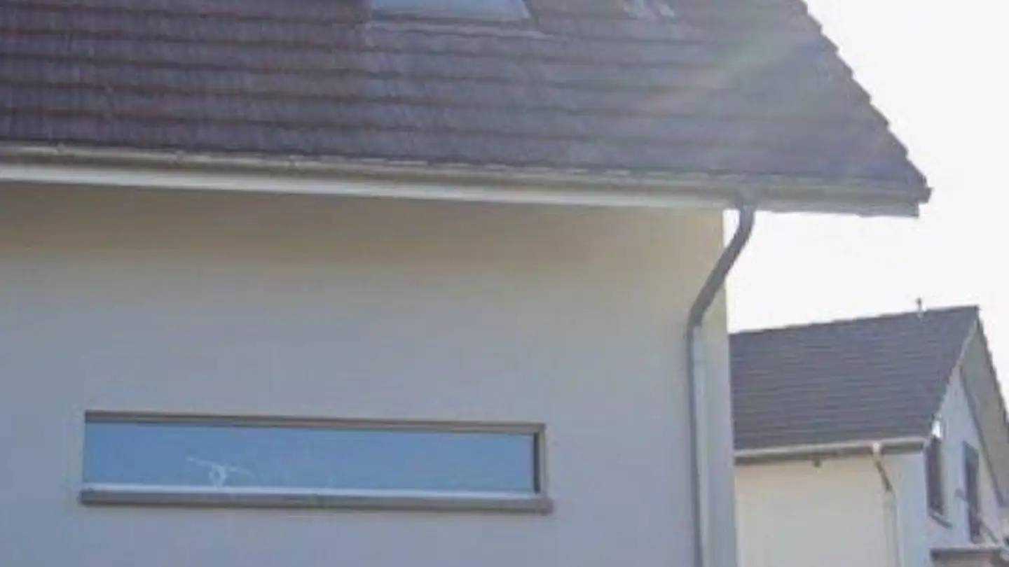 Single house for sale - In Den Zweigen, 4246 Wahlen b. Laufen - Photo 4