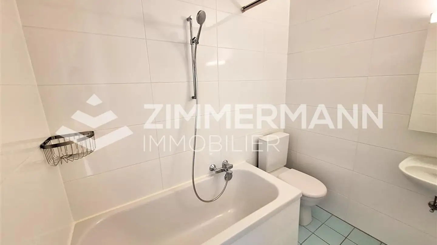 Appartamento in affitto - Chemin De Plein-Air, 1180 Rolle - Photo 2